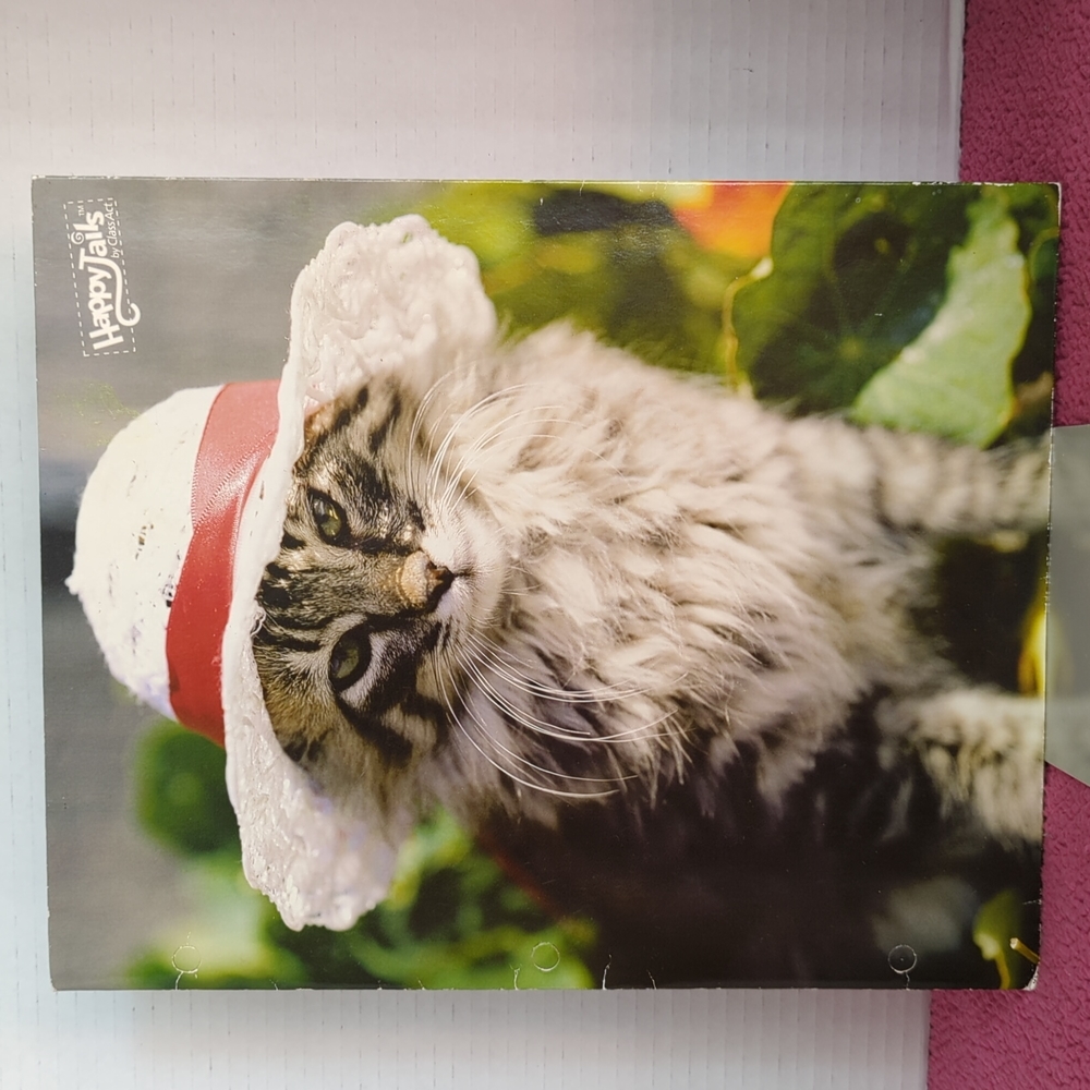 Happy Tails by Class Act , Y2K cat double pocket / portfolio, folder